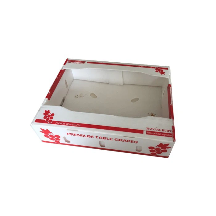 PP Corrugated Plastic Collapsible Boxes