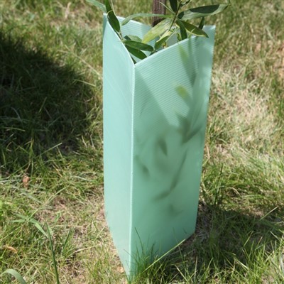 Gwrthiant UV PP Corflute Vine Guard